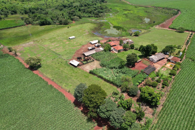 Imagem Chácara à Venda, 3 m² em Zona Rural - Jardinópolis Imagem Chácara à Venda, 3 m² em Zona Rural - Jardinópolis