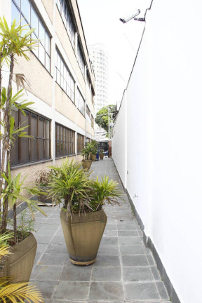 Imagem Imóvel Comercial para Alugar, 1 m² em Vila Mascote - São Paulo