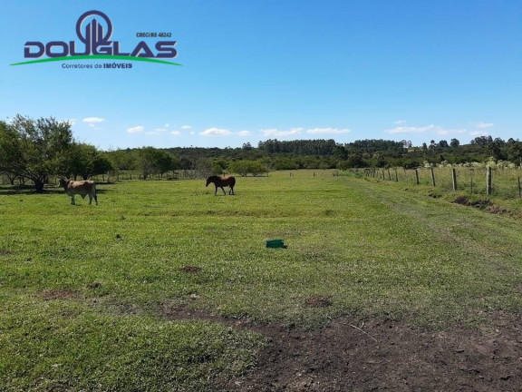 Imagem Chácara à Venda,  em águas Claras - Viamão