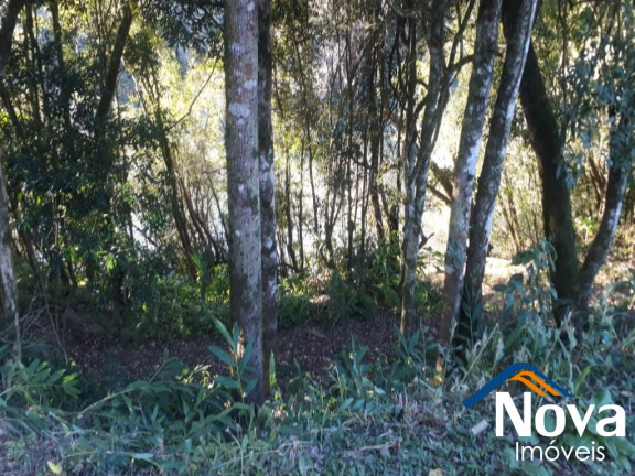 Imagem Imóvel à Venda, 60.000 m² em Linha Riachuelo - Nova Petrópolis Imagem Imóvel à Venda, 60.000 m² em Linha Riachuelo - Nova Petrópolis