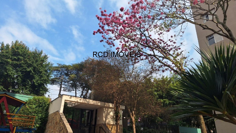 Imagem Apartamento com 3 Quartos à Venda, 73 m² em Jardim Ester - São Paulo