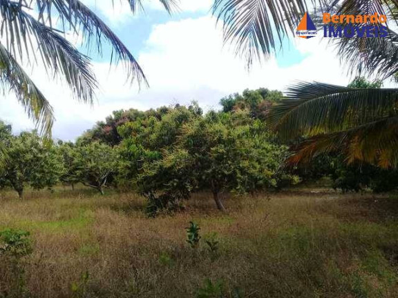 Imagem Chácara com 4 Quartos à Venda, 234 m² em Rodeador - Pindoretama Imagem Chácara com 4 Quartos à Venda, 234 m² em Rodeador - Pindoretama