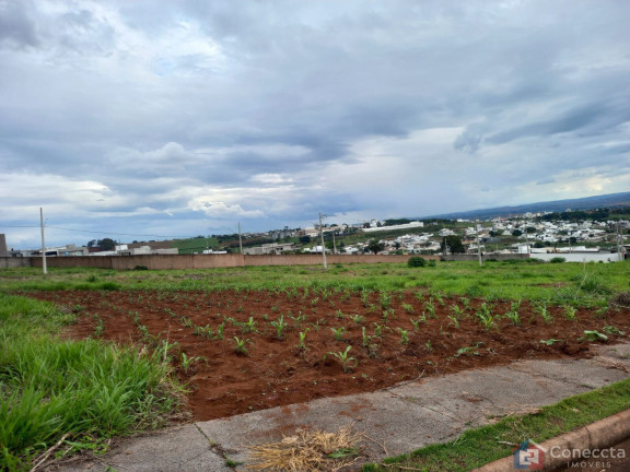 Imagem Terreno à Venda, 364 m² em Alto Dos Caiçaras - Patos De Minas