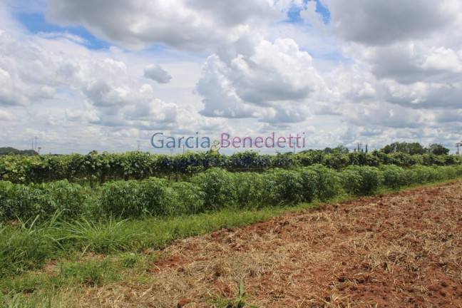 Imagem Imóvel à Venda, 41.500 m² em Bom Jardim - Jundiaí Imagem Imóvel à Venda, 41.500 m² em Bom Jardim - Jundiaí
