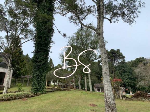 Imagem Imóvel com 2 Quartos à Venda, 15.000 m² em Linha Araripe - Gramado Imagem Imóvel com 2 Quartos à Venda, 15.000 m² em Linha Araripe - Gramado