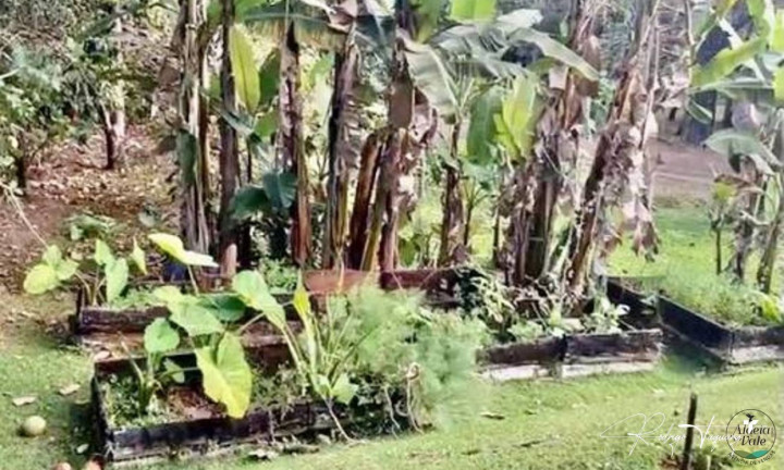 Imagem Casa de Condomínio com 4 Quartos à Venda, 468 m² em Residencial Aldeia Do Vale - Goiânia Imagem Casa de Condomínio com 4 Quartos à Venda, 468 m² em Residencial Aldeia Do Vale - Goiânia