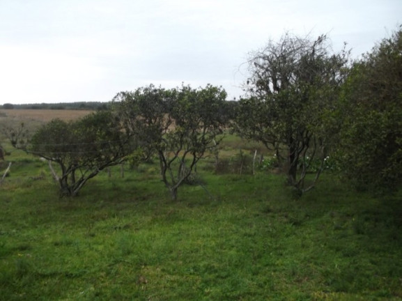 Imagem Chácara com 1 Quarto à Venda, 108.000 m² em Itapuã - Viamão Imagem Chácara com 1 Quarto à Venda, 108.000 m² em Itapuã - Viamão