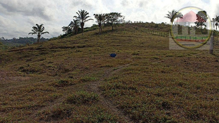 Imagem Fazenda à Venda, 2.032.800 m² em Br-230, Itupiranga - Pa, 68580-000, Brasil -5.024794, -49.459885 - Itupiranga Imagem Fazenda à Venda, 2.032.800 m² em Br-230, Itupiranga - Pa, 68580-000, Brasil -5.024794, -49.459885 - Itupiranga