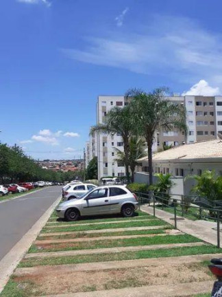 Imagem Apartamento com 2 Quartos à Venda, 45 m² em Parque Yolanda (nova Veneza) - Sumaré Imagem Apartamento com 2 Quartos à Venda, 45 m² em Parque Yolanda (nova Veneza) - Sumaré
