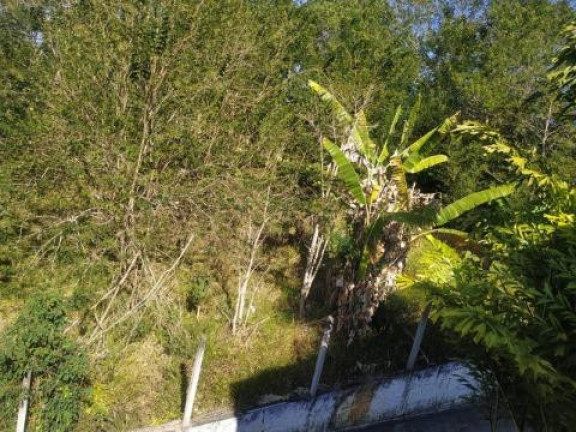 Imagem Terreno à Venda, 531 m² em Pouso Alegre - Santa Isabel