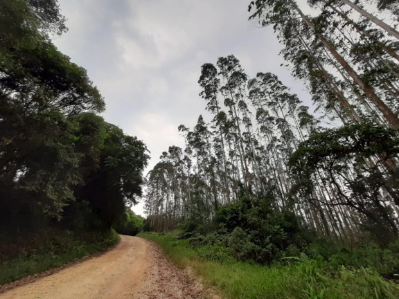 Imagem Fazenda à Venda, 127.997 m² em Pacotuba - Almirante Tamandaré