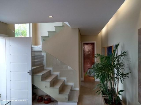 Imagem Terreno à Venda, 125 m² em Terra Noble - Cotia Imagem Terreno à Venda, 125 m² em Terra Noble - Cotia