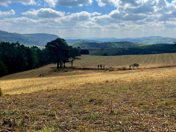 Imagem Fazenda à Venda, 92 m² em Poços De Caldas Imagem Fazenda à Venda, 92 m² em Poços De Caldas