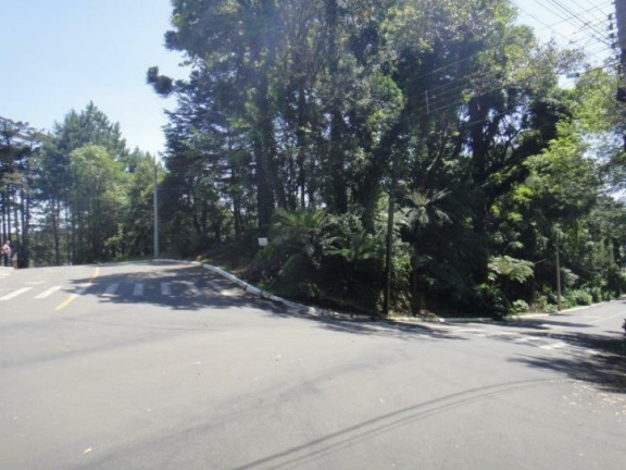 Imagem Terreno à Venda, 4.117 m² em Planalto - Gramado Imagem Terreno à Venda, 4.117 m² em Planalto - Gramado