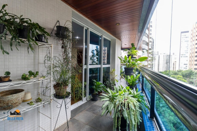Imagem Apartamento com 3 Quartos à Venda, em Vila Mariana - São Paulo Imagem Apartamento com 3 Quartos à Venda, em Vila Mariana - São Paulo
