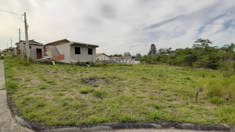 Imagem Terreno à Venda, em Areias Do Meio (bosque Da Colina) - Governador Celso Ramos Imagem Terreno à Venda, em Areias Do Meio (bosque Da Colina) - Governador Celso Ramos