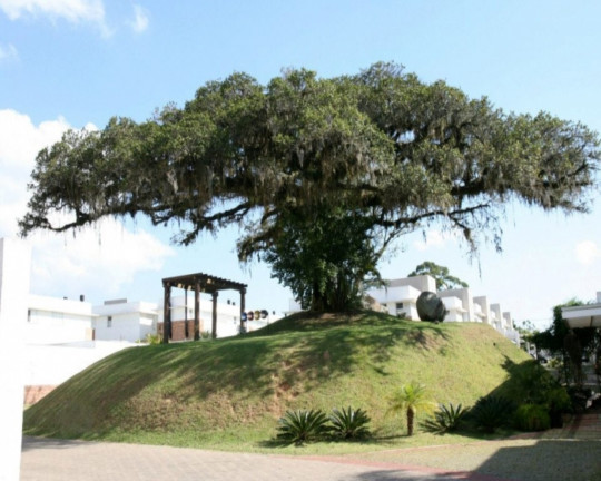 Imagem Imóvel com 3 Quartos à Venda, em Agronomia - Porto Alegre Imagem Imóvel com 3 Quartos à Venda, em Agronomia - Porto Alegre