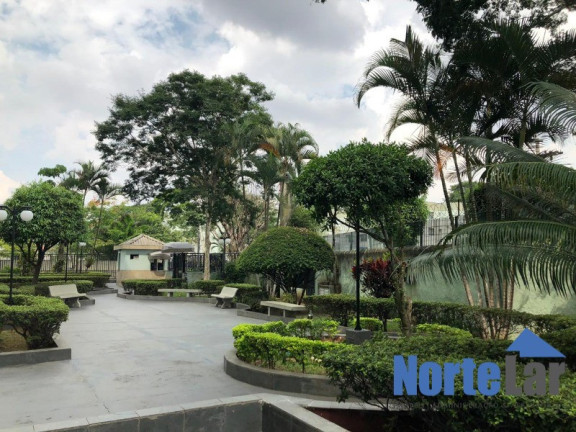 Imagem Apartamento com 2 Quartos à Venda, 70 m² em Vila Amélia - São Paulo Imagem Apartamento com 2 Quartos à Venda, 70 m² em Vila Amélia - São Paulo