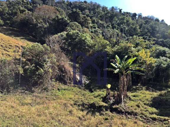 Imagem Fazenda à Venda, 417.500 m² em área Rural De Itajubá - Itajubá