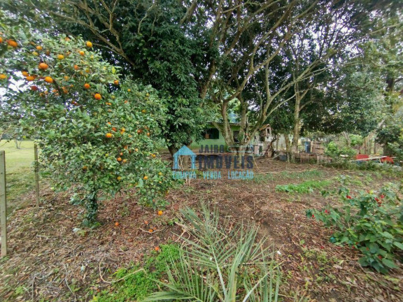 Imagem Fazenda à Venda, 20.000 m² em Rancho Velho - Capivari Do Sul Imagem Fazenda à Venda, 20.000 m² em Rancho Velho - Capivari Do Sul