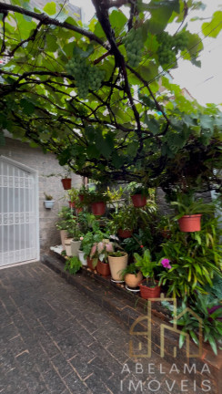 Sobrado com 3 Quartos à Venda, 244 m² em Campestre - Santo André