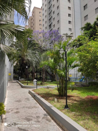 Imagem Apartamento com 3 Quartos à Venda, 62 m² em Fundação - São Caetano Do Sul Imagem Apartamento com 3 Quartos à Venda, 62 m² em Fundação - São Caetano Do Sul