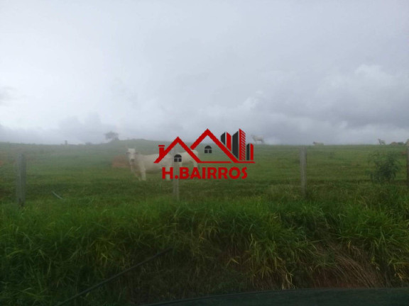 Imagem Fazenda à Venda, 2.226.400 m² em Ponte Nova - Lorena Imagem Fazenda à Venda, 2.226.400 m² em Ponte Nova - Lorena