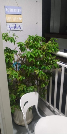 Imagem Apartamento com 2 Quartos à Venda, 60 m² em Jardim Iracema/aldeia - Barueri Imagem Apartamento com 2 Quartos à Venda, 60 m² em Jardim Iracema/aldeia - Barueri
