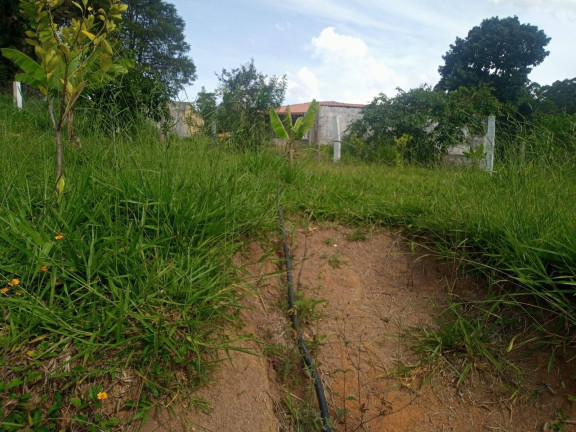 Imagem Chácara com 3 Quartos à Venda, 160 m² em Curitibanos - Bragança Paulista Imagem Chácara com 3 Quartos à Venda, 160 m² em Curitibanos - Bragança Paulista