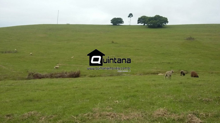 Imagem Imóvel com 2 Quartos à Venda, 8.000.000 m² em Centro - Santana Da Boa Vista Imagem Imóvel com 2 Quartos à Venda, 8.000.000 m² em Centro - Santana Da Boa Vista