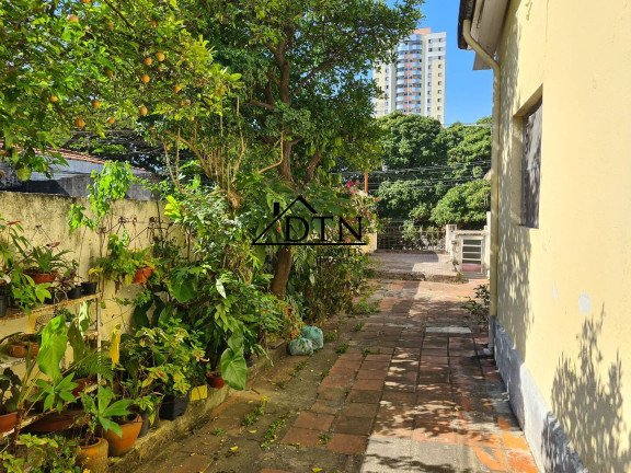 Imagem Casa com 2 Quartos à Venda, 400 m² em Vila Moreira - São Paulo Imagem Casa com 2 Quartos à Venda, 400 m² em Vila Moreira - São Paulo