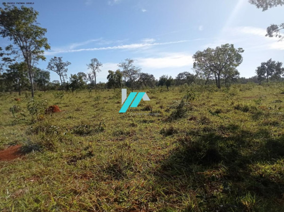 Imagem Fazenda à Venda, 25 m² em Zona Rural - Curvelo Imagem Fazenda à Venda, 25 m² em Zona Rural - Curvelo