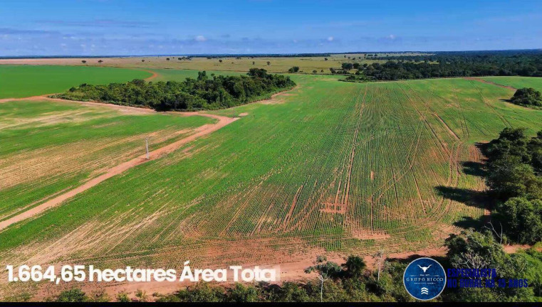 Imagem Fazenda à Venda, 343 m² em Zona Rural - Montes Claros De Goiás Imagem Fazenda à Venda, 343 m² em Zona Rural - Montes Claros De Goiás