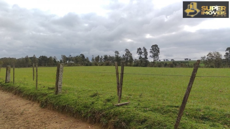 Imagem Imóvel com 3 Quartos à Venda, 660.000 m² em Zona Rural - Capão Do Leão