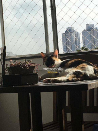 Imagem Apartamento com 2 Quartos à Venda, 76 m² em Cambuci - São Paulo Imagem Apartamento com 2 Quartos à Venda, 76 m² em Cambuci - São Paulo