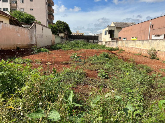 Terreno à Venda, 660 m² em Centro - Londrina