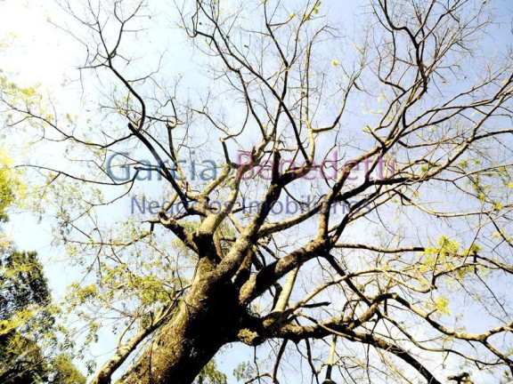 Imagem Terreno à Venda, 1.308 m² em Jacaré - Cabreúva Imagem Terreno à Venda, 1.308 m² em Jacaré - Cabreúva