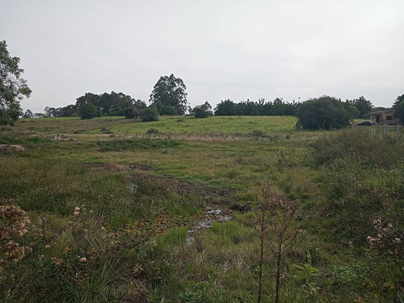 Imagem Chácara à Venda, 10.000 m² em águas Claras - Viamão