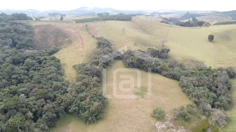 Imagem Imóvel com 2 Quartos à Venda, 29 m² em Pessegueiros - Campestre Imagem Imóvel com 2 Quartos à Venda, 29 m² em Pessegueiros - Campestre