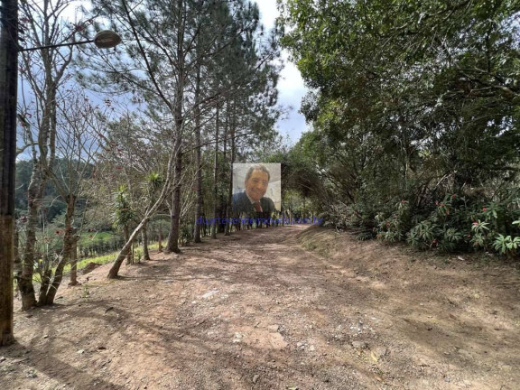 Imagem Terreno à Venda, 18.455 m² em Taboleiro Verde - Cotia Imagem Terreno à Venda, 18.455 m² em Taboleiro Verde - Cotia