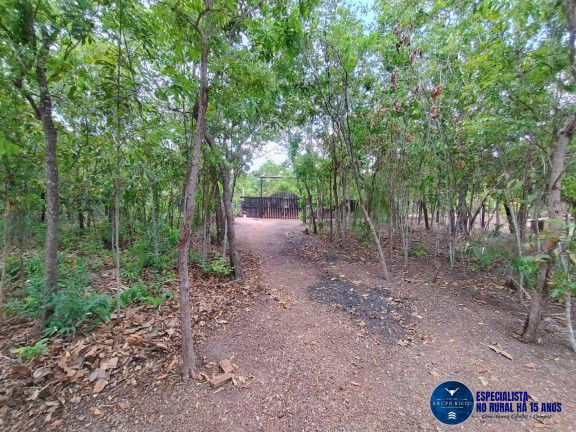 Imagem Chácara à Venda, 1.500 m² em Zona Rural - Nova Crixás Imagem Chácara à Venda, 1.500 m² em Zona Rural - Nova Crixás
