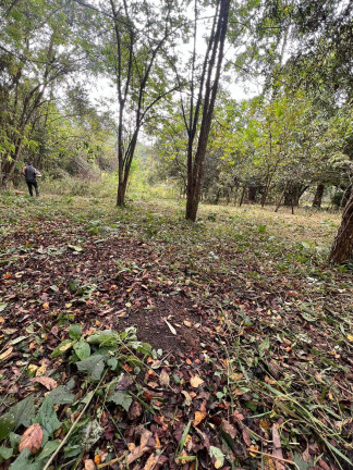 Imagem Terreno à Venda, 1.250 m² em Pedras - Itatiaiuçu Imagem Terreno à Venda, 1.250 m² em Pedras - Itatiaiuçu