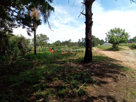 Imagem Imóvel com 2 Quartos à Venda, 133.100 m² em Ibiúna - Ibiúna Imagem Imóvel com 2 Quartos à Venda, 133.100 m² em Ibiúna - Ibiúna