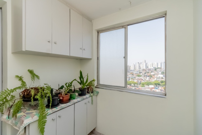Imagem Apartamento com 2 Quartos à Venda, 68 m² em Jardim Da Saúde - São Paulo Imagem Apartamento com 2 Quartos à Venda, 68 m² em Jardim Da Saúde - São Paulo