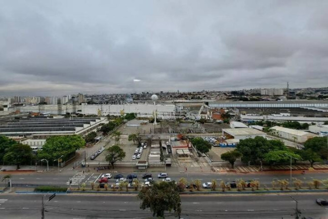 Imagem Apartamento com 3 Quartos à Venda, 169 m² em Santa Paula - São Caetano Do Sul Imagem Apartamento com 3 Quartos à Venda, 169 m² em Santa Paula - São Caetano Do Sul