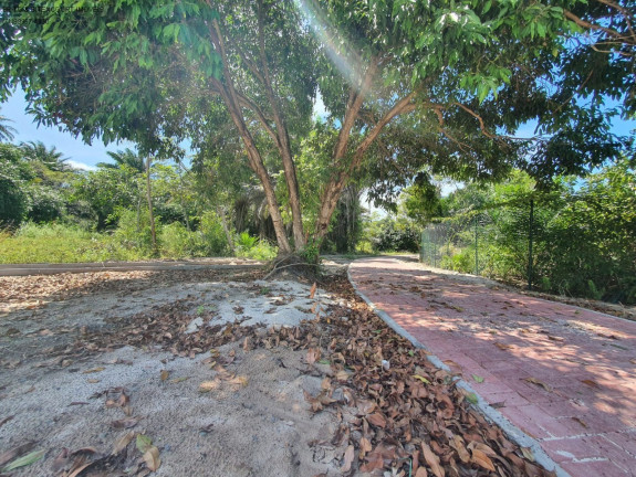 Imagem Terreno à Venda, 1.000 m² em Busca Vida - Camaçari