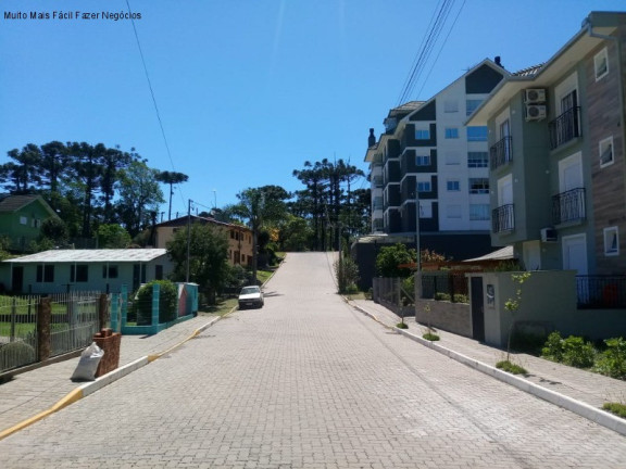 Imagem Casa com 3 Quartos à Venda, em Logradouro - Nova Petrópolis Imagem Casa com 3 Quartos à Venda, em Logradouro - Nova Petrópolis