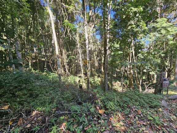 Imagem Terreno à Venda, 5.000 m² em Green Valleiy - Teresópolis Imagem Terreno à Venda, 5.000 m² em Green Valleiy - Teresópolis