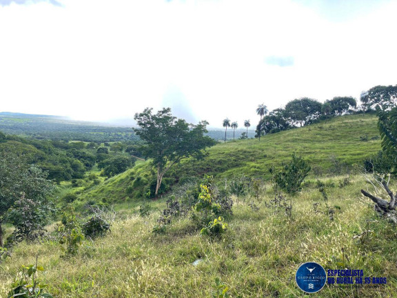 Imagem Fazenda à Venda, 33 m² em Zona Rural - Goiás Imagem Fazenda à Venda, 33 m² em Zona Rural - Goiás