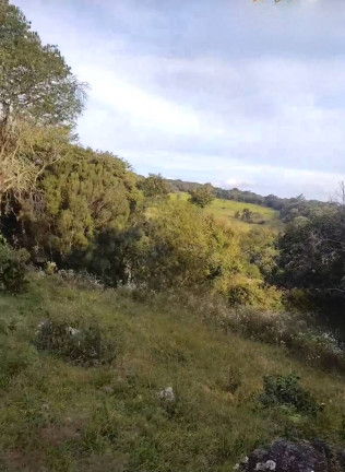 Imagem Fazenda à Venda, 9 m² em São João Da Boa Vista Imagem Fazenda à Venda, 9 m² em São João Da Boa Vista